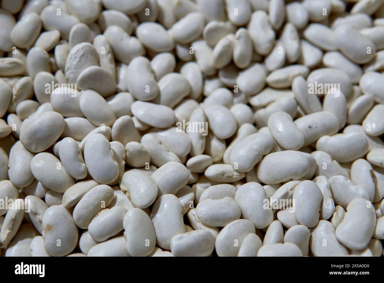 pile of White beans or navy beans for sale at a market in Salta