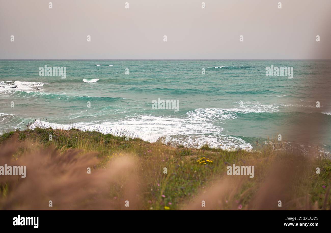 Seascape in spring, in the foreground a lawn with flowers out of focus and in the background the Mediterranean sea with waves breaking on the shore. Stock Photo
