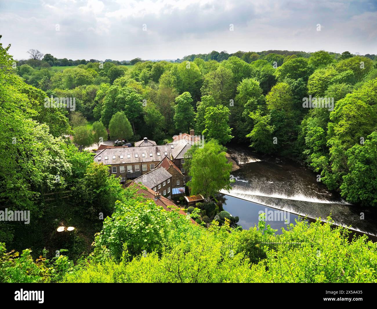 Spring trees along the River Nidd at Castle Mills from Knaresborough Castle North Yorkshire England Stock Photo
