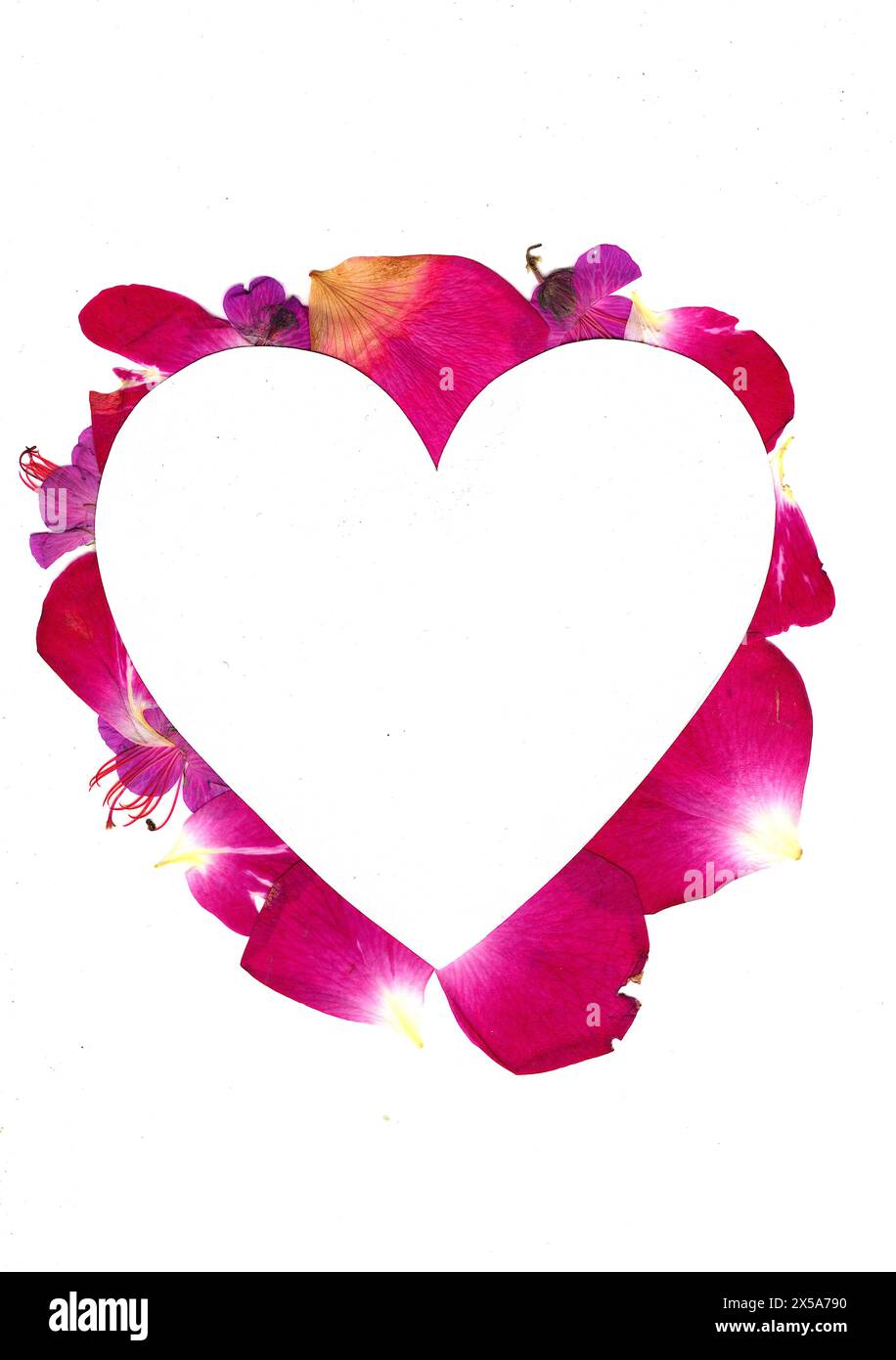 Pink rose petals and geranium flowers forming the shape of a heart on a ...