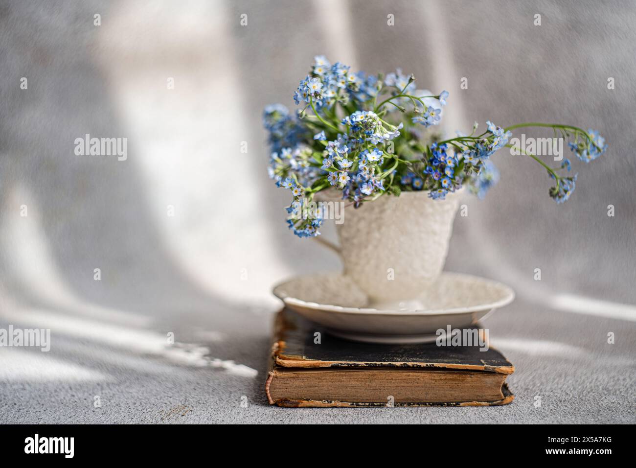 A delicate bouquet of blue Forget Me Not flowers displayed in a rustic, textured vase on top of an antique book, basking in dappled sunlight Stock Photo