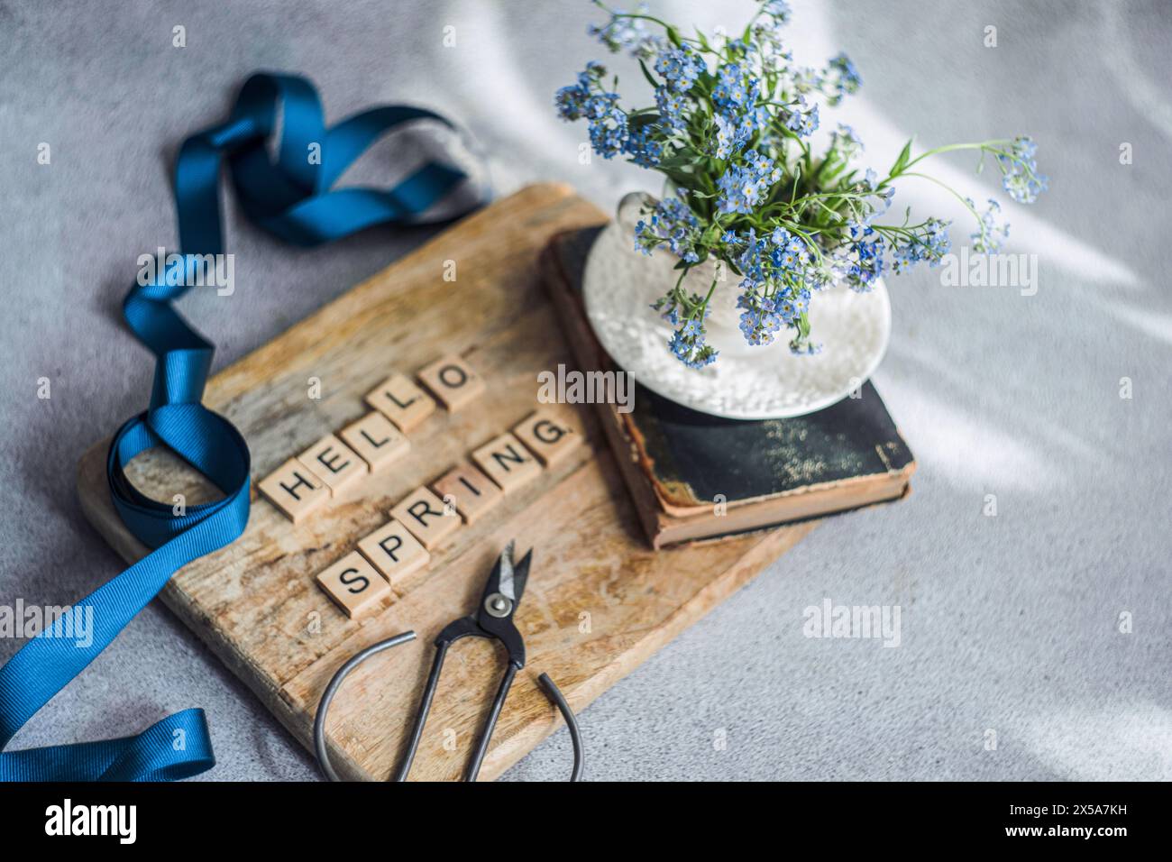 A bouquet of fresh forget-me-not flowers in a white vase, placed on a vintage book with the message HELLO SPRING spelled out in wooden letters, accent Stock Photo