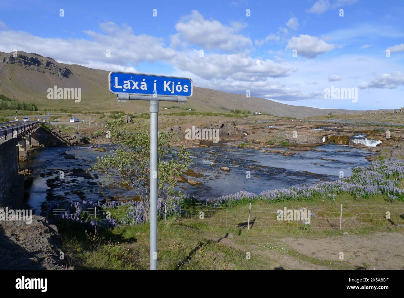The Laxá í Kjós salmon and trout river in west Iceland Stock Photo