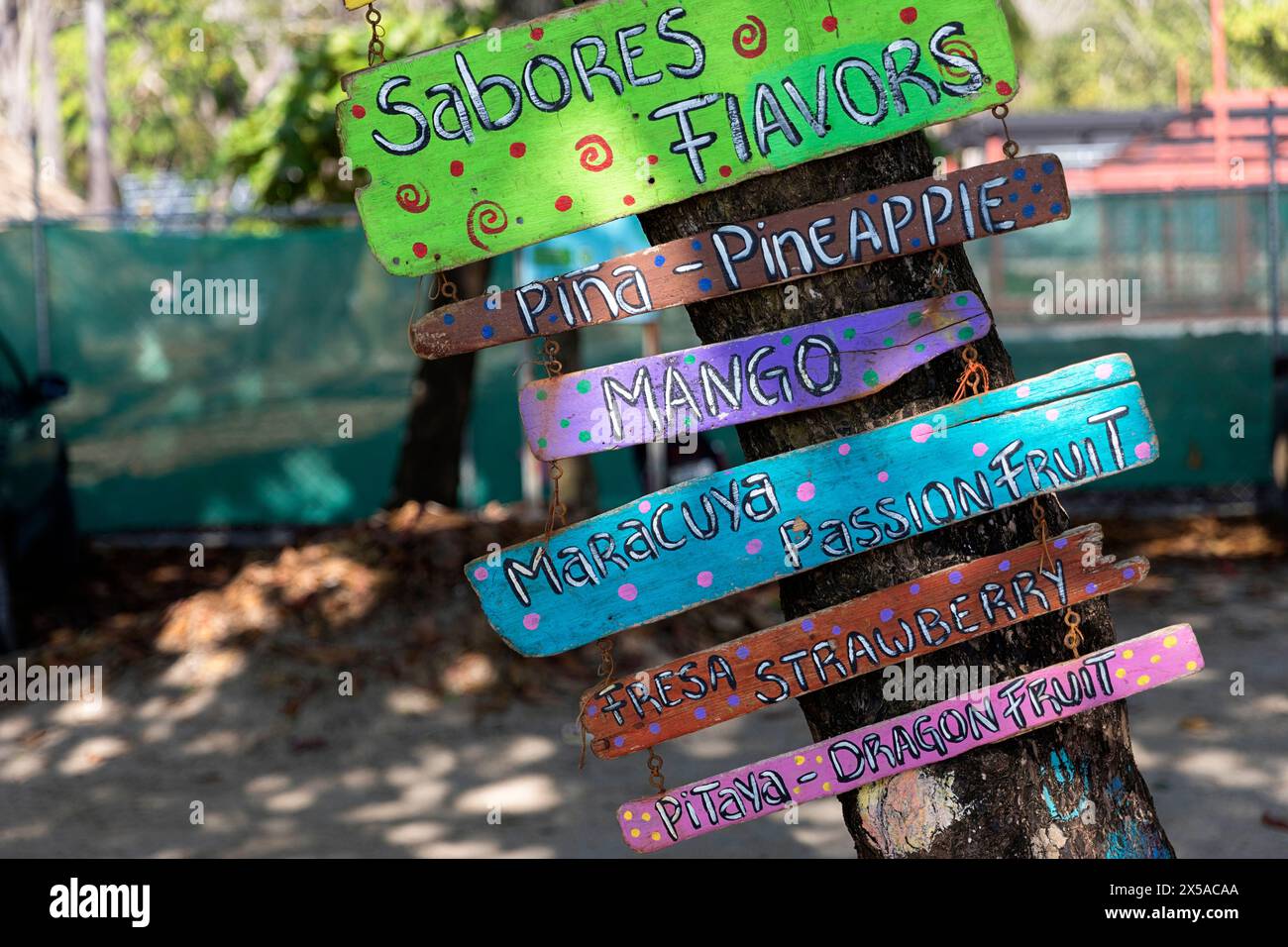 Handmade wooden signposts hanging on a tree on a beach, Costa Rica Stock Photo