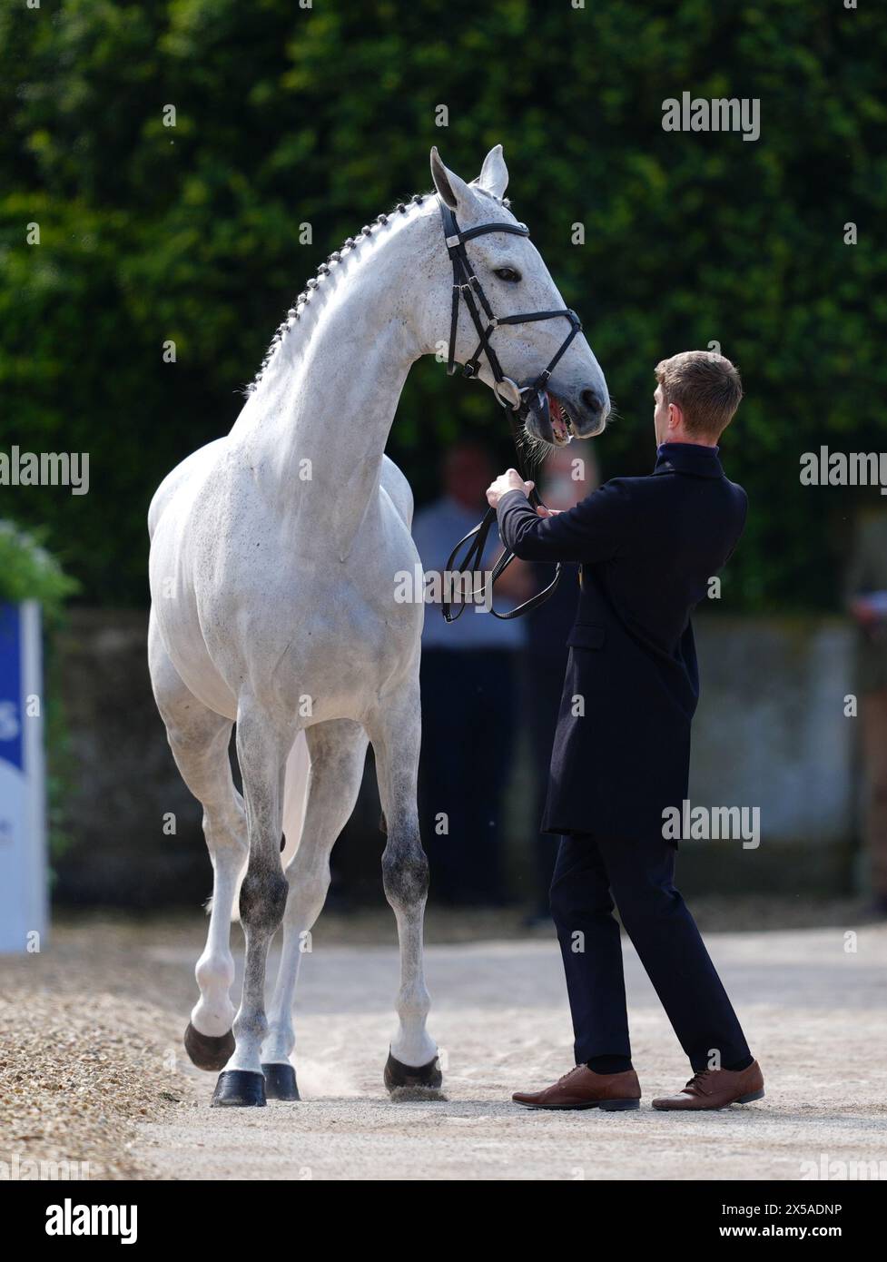 Capels Hollow Drift and Tom Jackson during the first horse inspection on day one of the Badminton Horse Trials 2024 at The Badminton Estate, Gloucestershire. Picture date: Wednesday May 8, 2024. Stock Photo