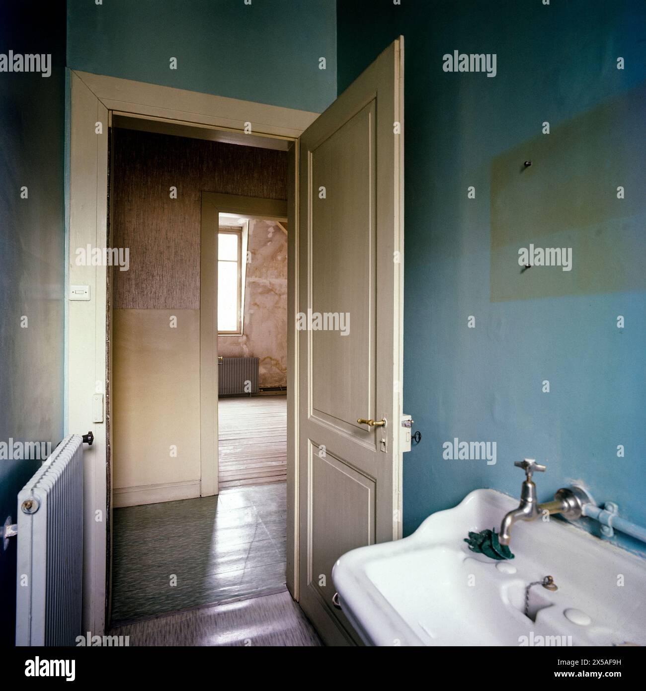 Eco-Friendly Apartment Renovations & Sustainable Home Improvements Ideas