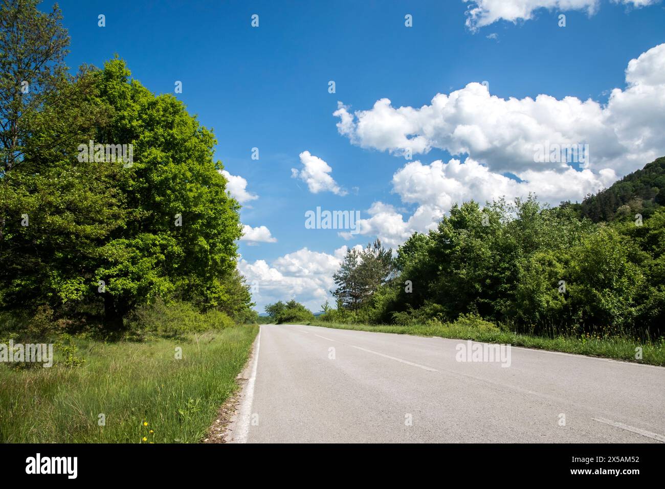 Country road through the green forest and blue sky with white clouds ...