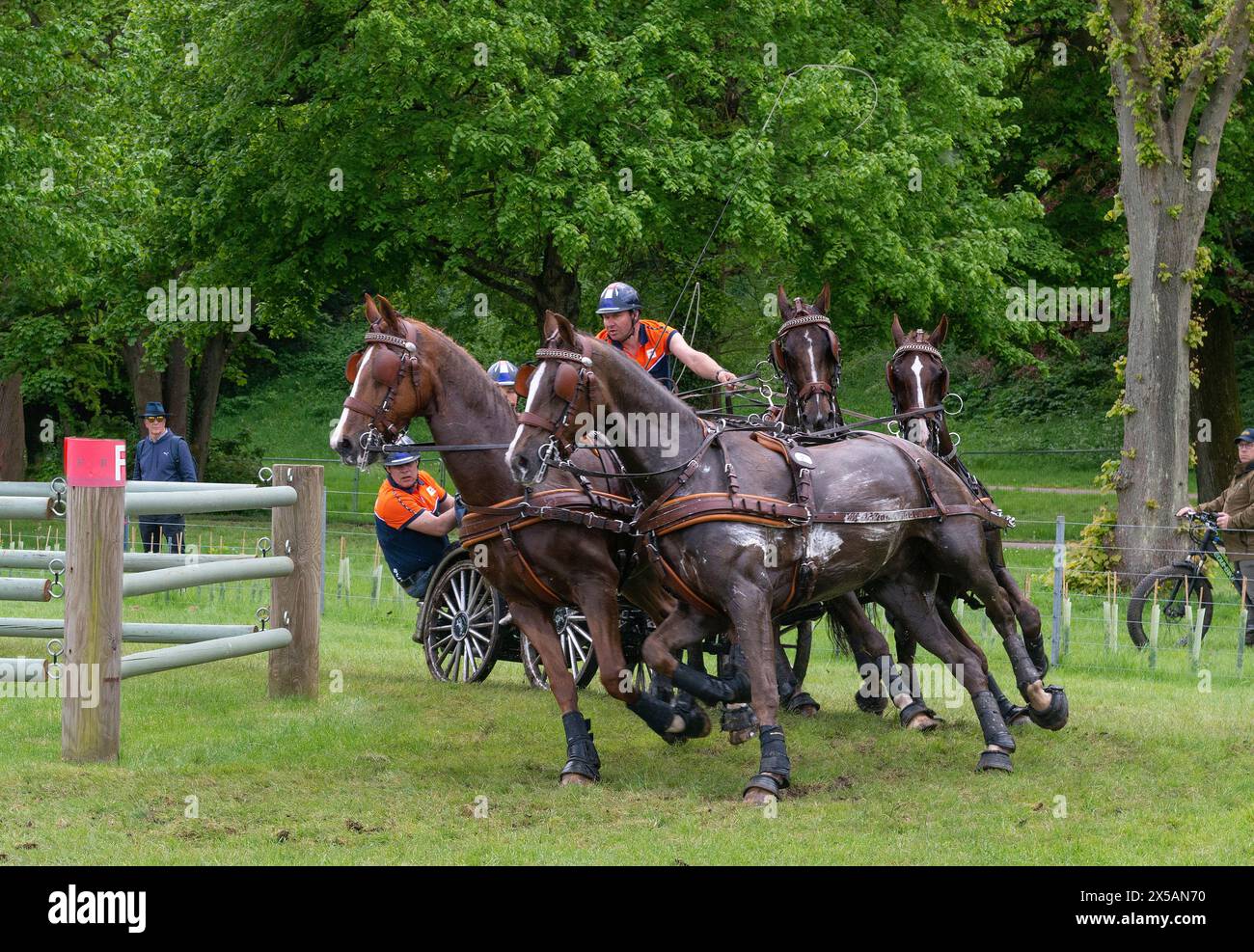 21-de-ronde-koos-hi-res-stock-photography-and-images-alamy