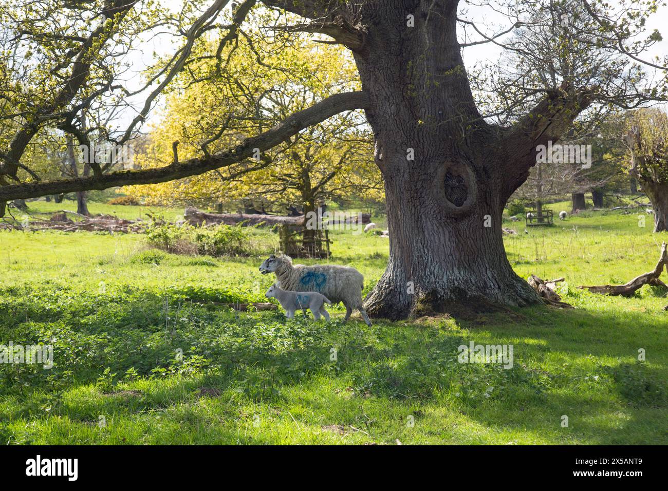 Spring april 2024 hi-res stock photography and images - Alamy