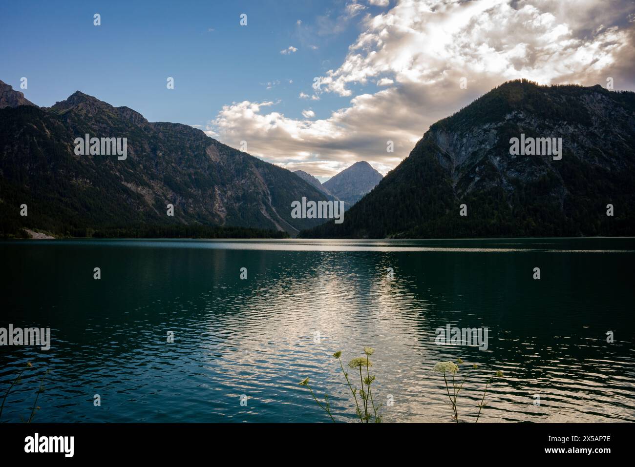 lake, mountains, mountain, reflection, forest, hill, plansee, tyrol, waves, water, landscape, nature Stock Photo