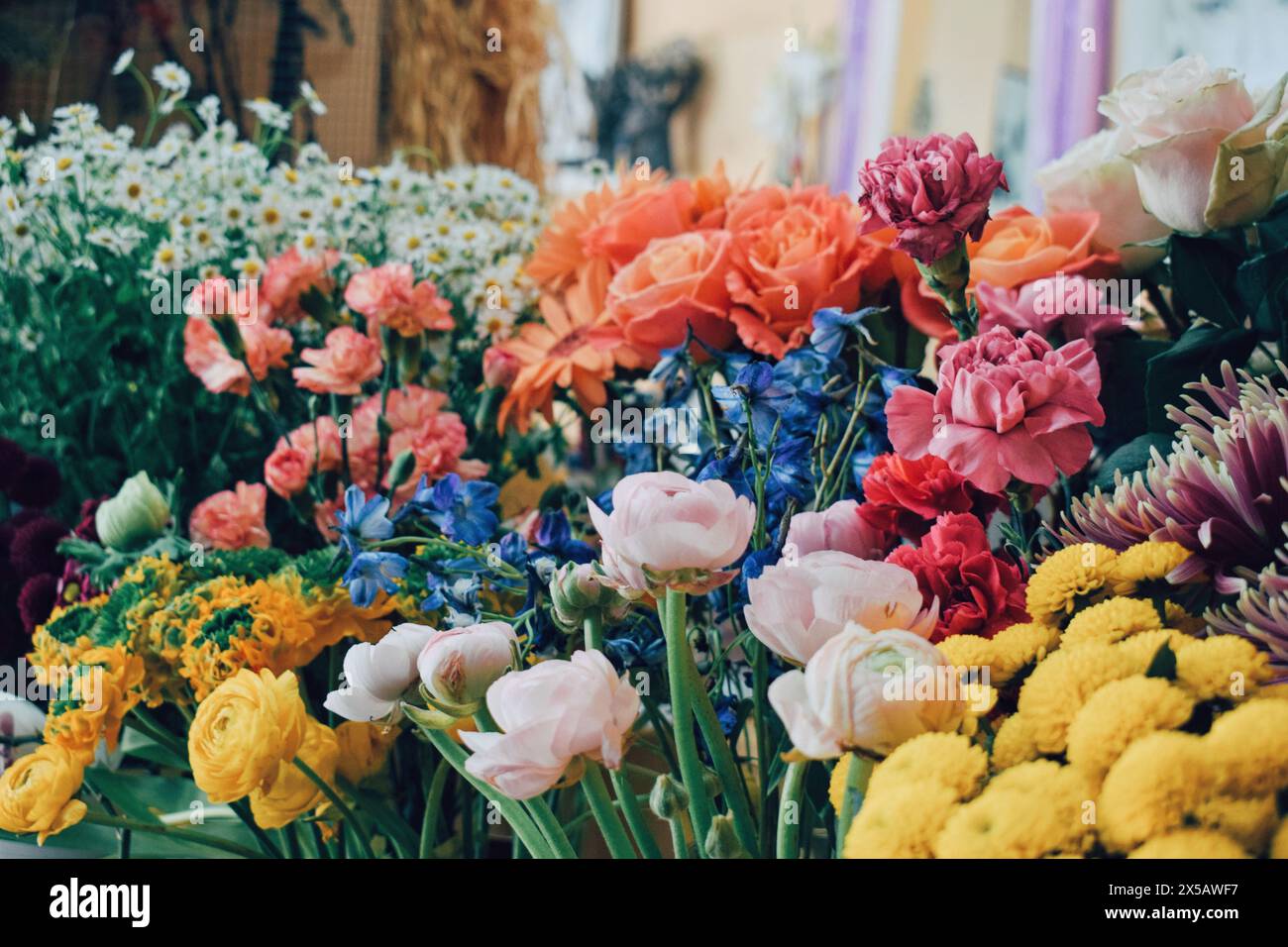 Various colorful flowers in a flower shop, Barcelona, ​​on April 16, 2024 Stock Photo