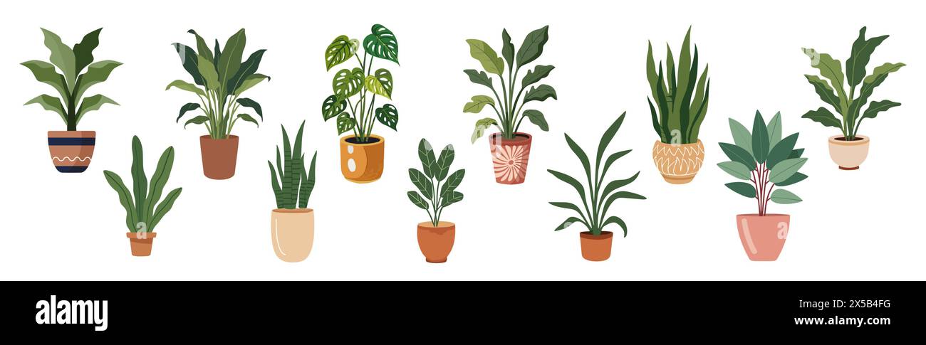 Set of different house plants vector illustrations Stock Vector