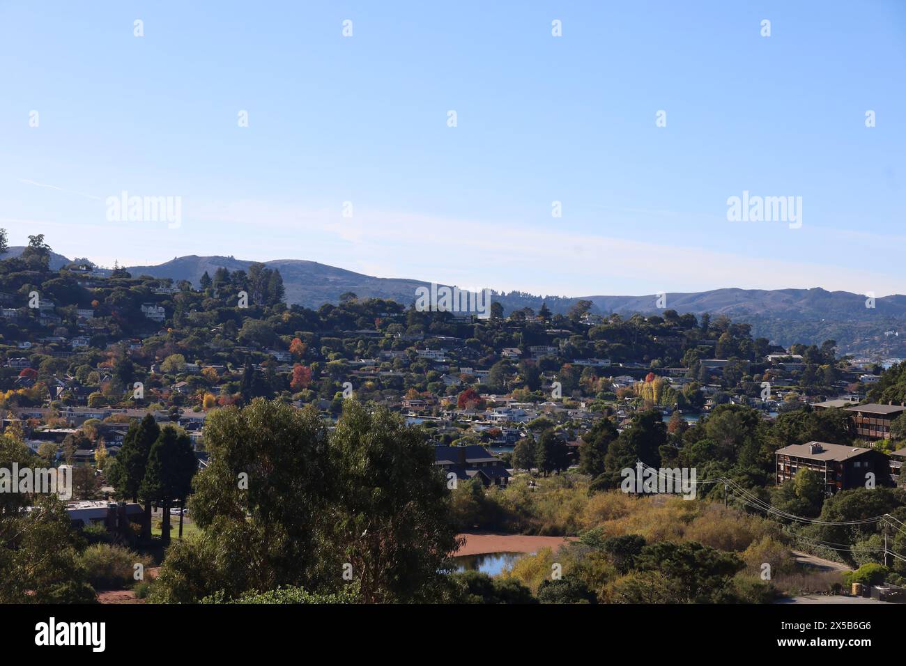 Photo of nature and city from St Hilary's preserve in Belvedere and Tiburon California Stock Photo