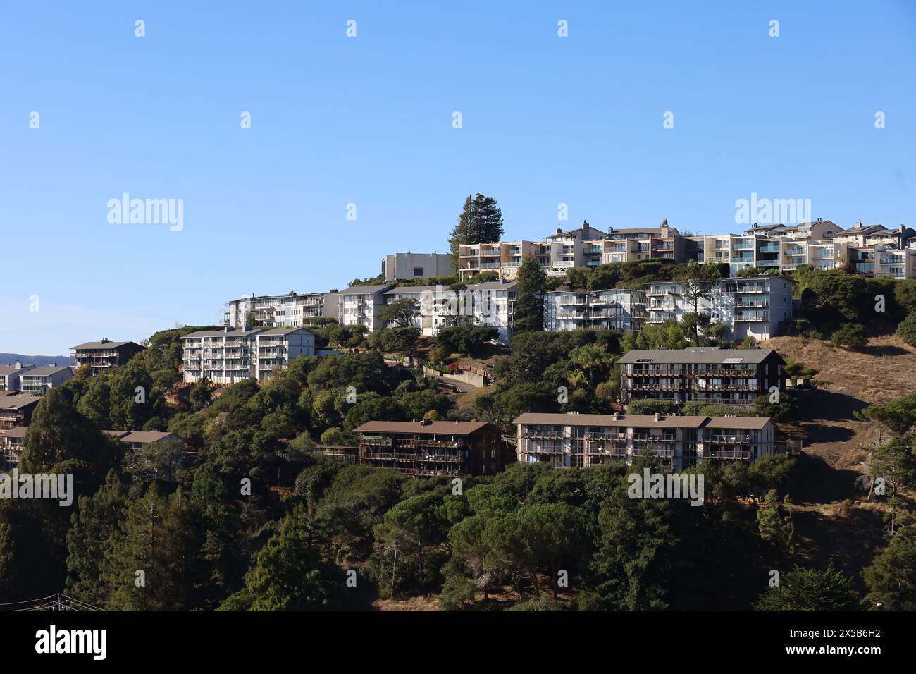 Photo of nature and city from St Hilary's preserve in Belvedere and Tiburon California Stock Photo