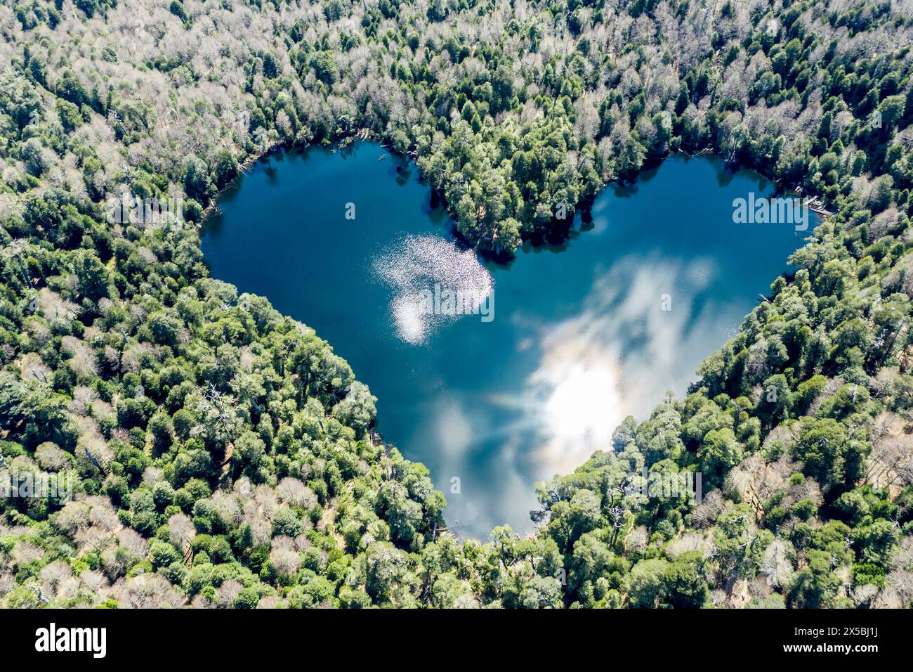 Heart-shaped lake Laguna Corazon, near Liquine, aerial view, Chile Stock Photo