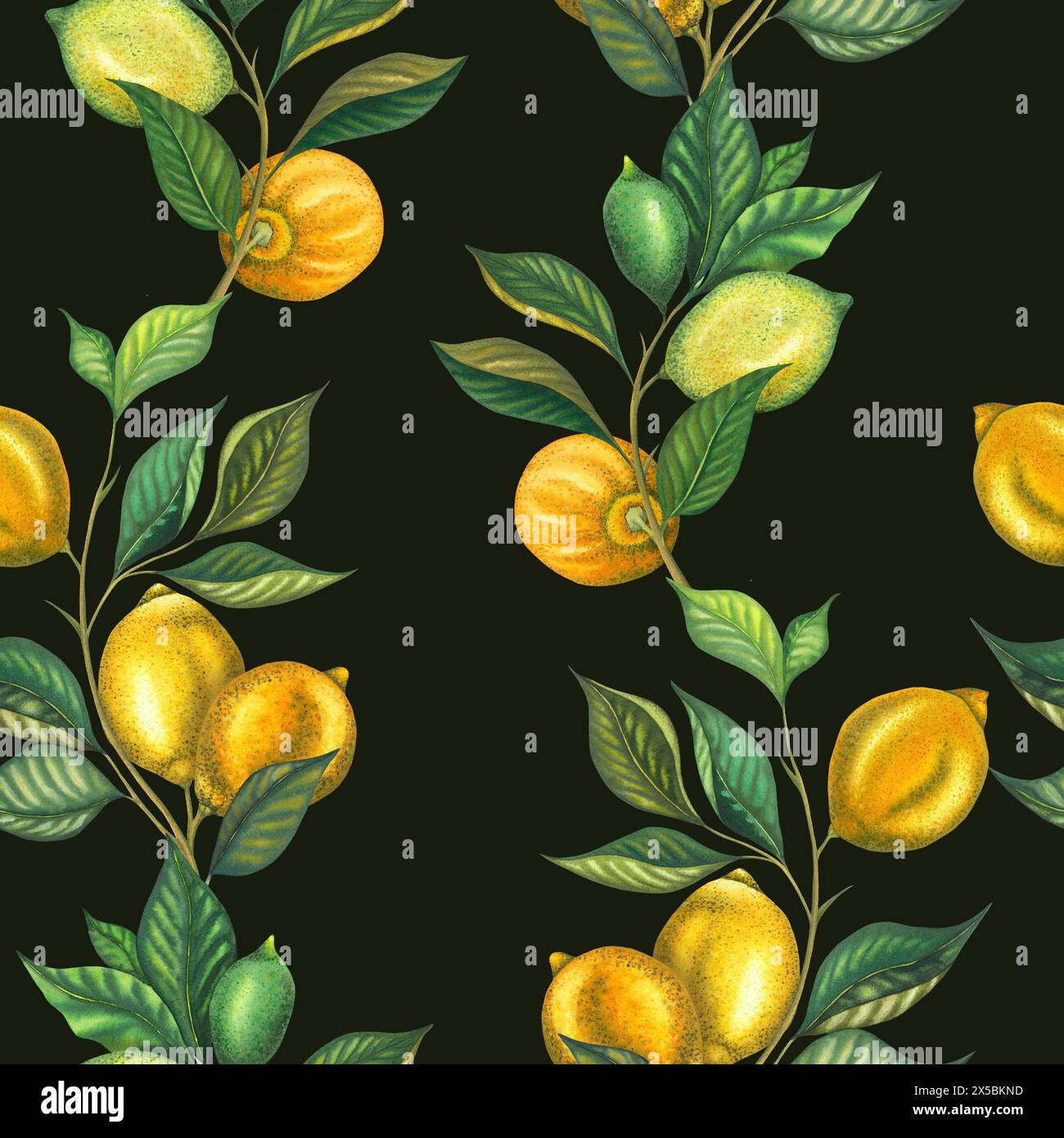 Watercolor seamless pattern with lemon branches and lime branch with leaves and green lemon. Hand painted yellow fruits isolated on black background. Stock Photo