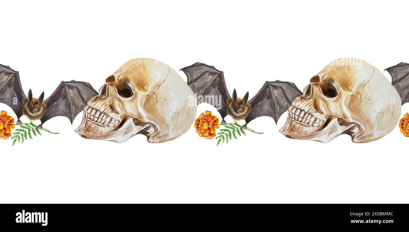 Human skull, bat, marigold flower, seamless border. Watercolor illustration isolated on white background. Posters, ribbons, tape, cards, invitations. Stock Photo