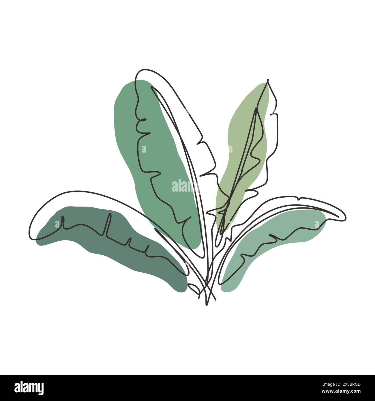 jungle-singl-leaf-hi-res-stock-photography-and-images-alamy
