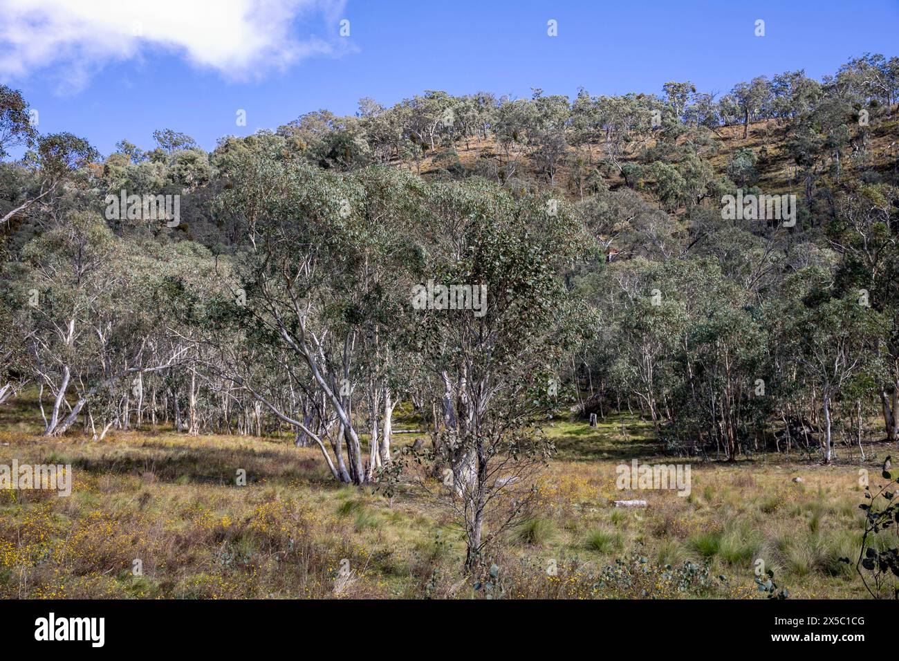 Turon national park hi-res stock photography and images - Alamy