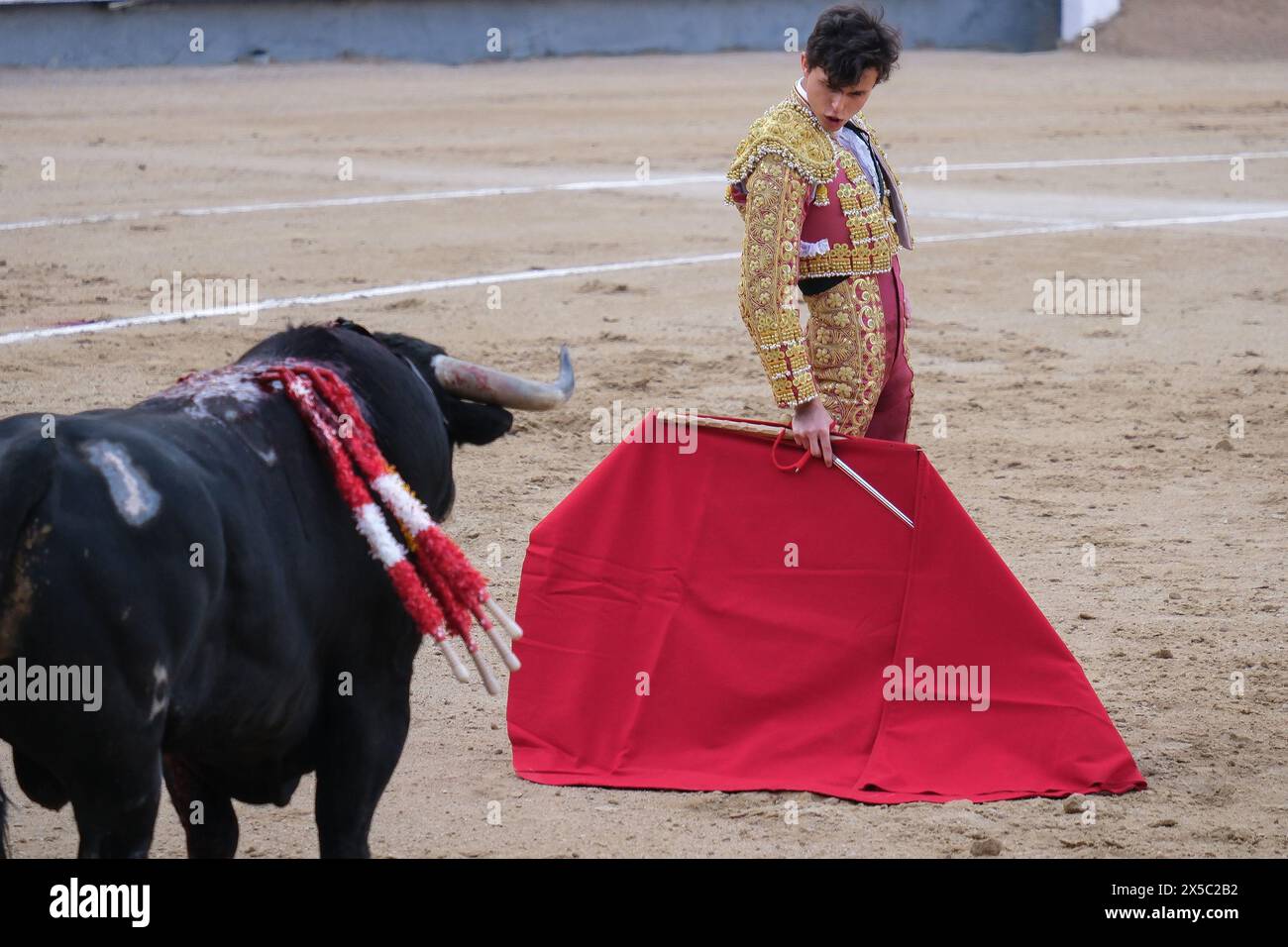 bullfight of Corrida de Toros in the Plaza de las Ventas in Madrid Featuring: Daniel Medina Where: Madrid, Spain When: 07 Apr 2024 Credit: Oscar Gonzalez/WENN Stock Photo
