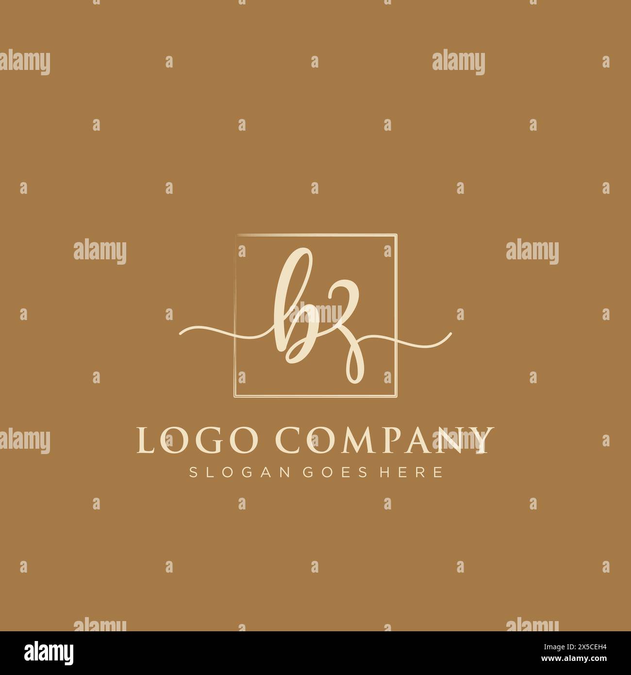 BZ Initial handwriting logo with rectangle Stock Vector
