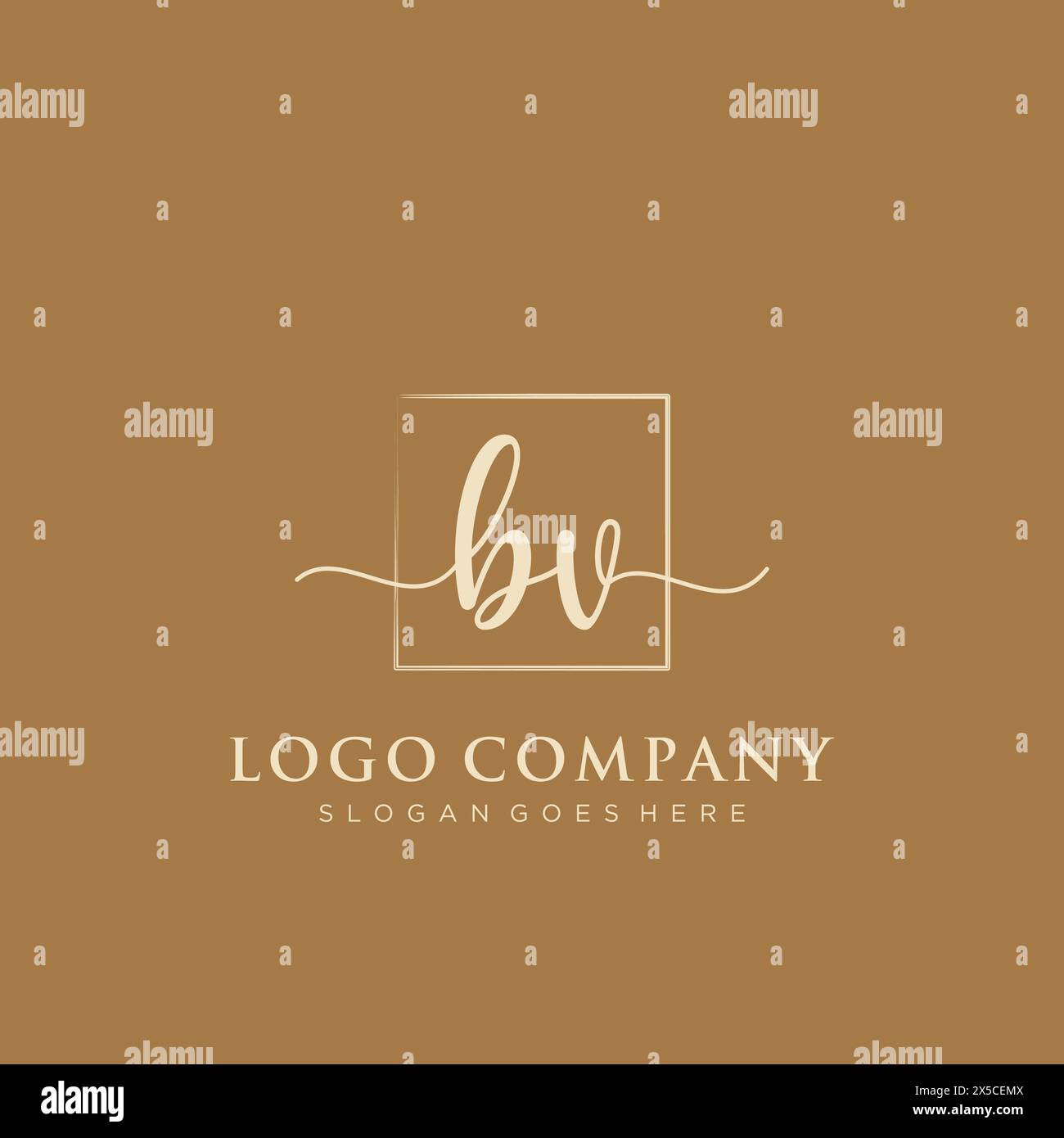 BV Initial handwriting logo with rectangle Stock Vector