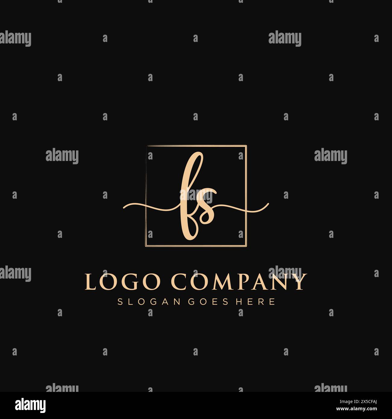 FS Initial handwriting logo with rectangle Stock Vector