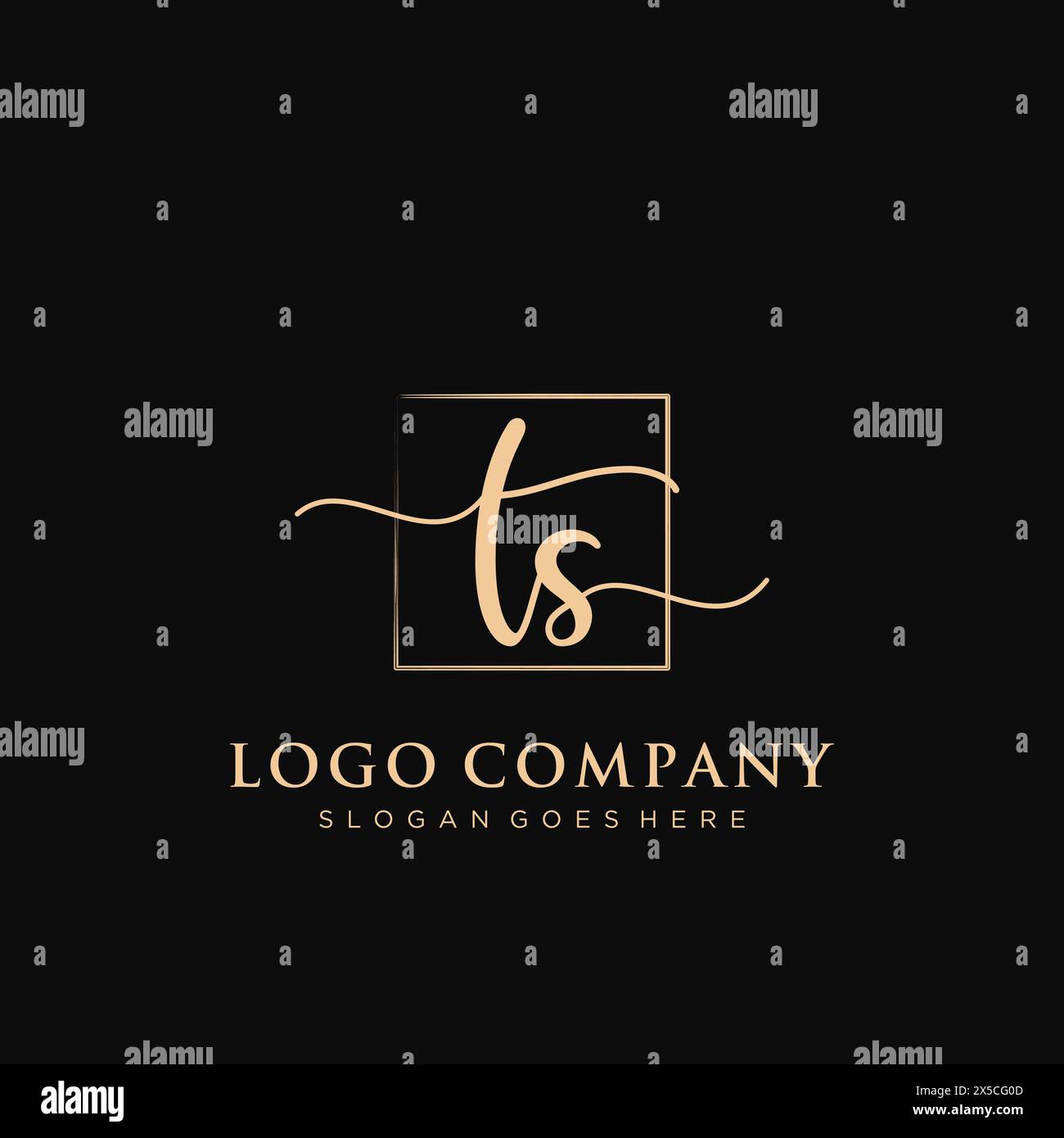 TS Initial handwriting logo with rectangle Stock Vector