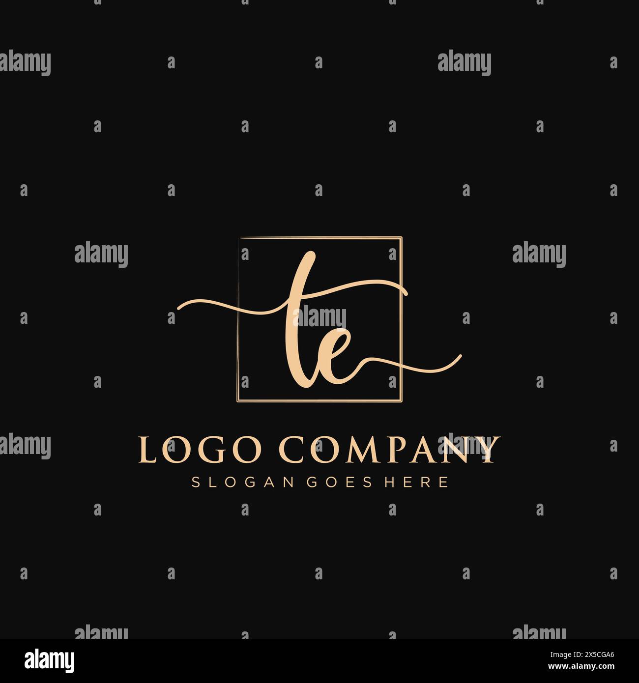 TE Initial handwriting logo with rectangle Stock Vector