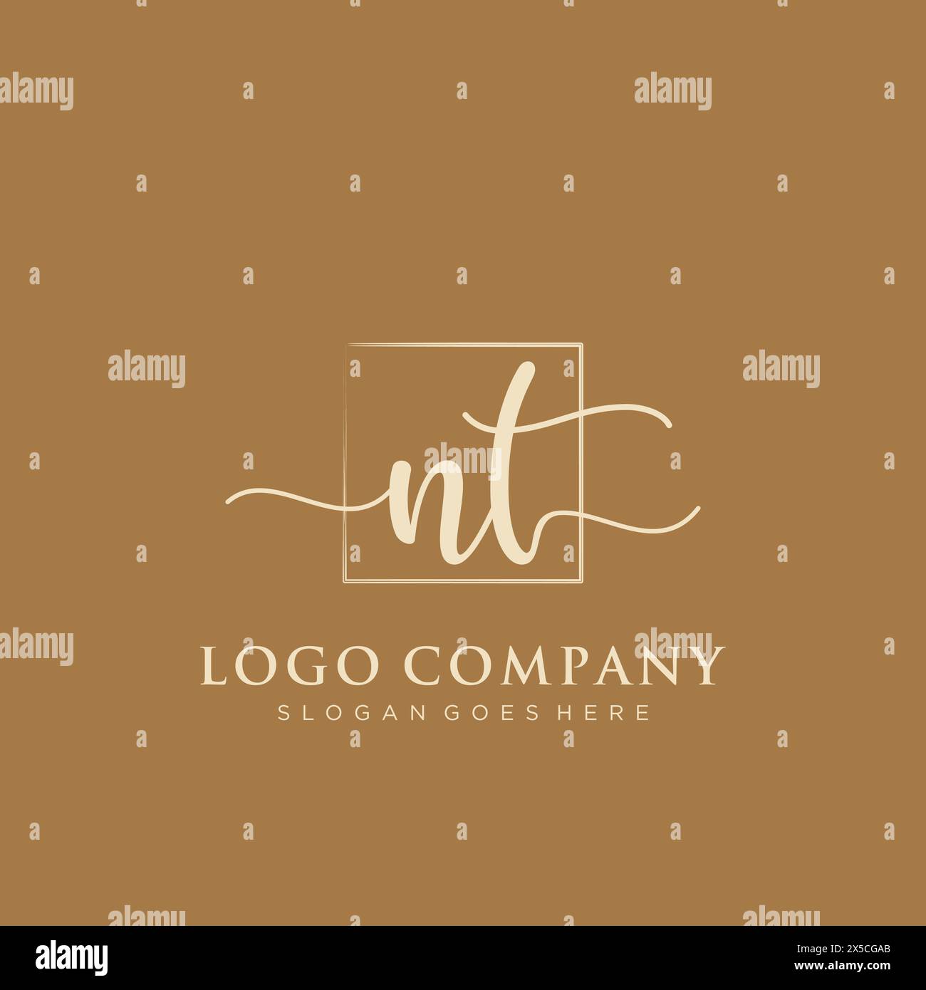 NT Initial handwriting logo with rectangle Stock Vector