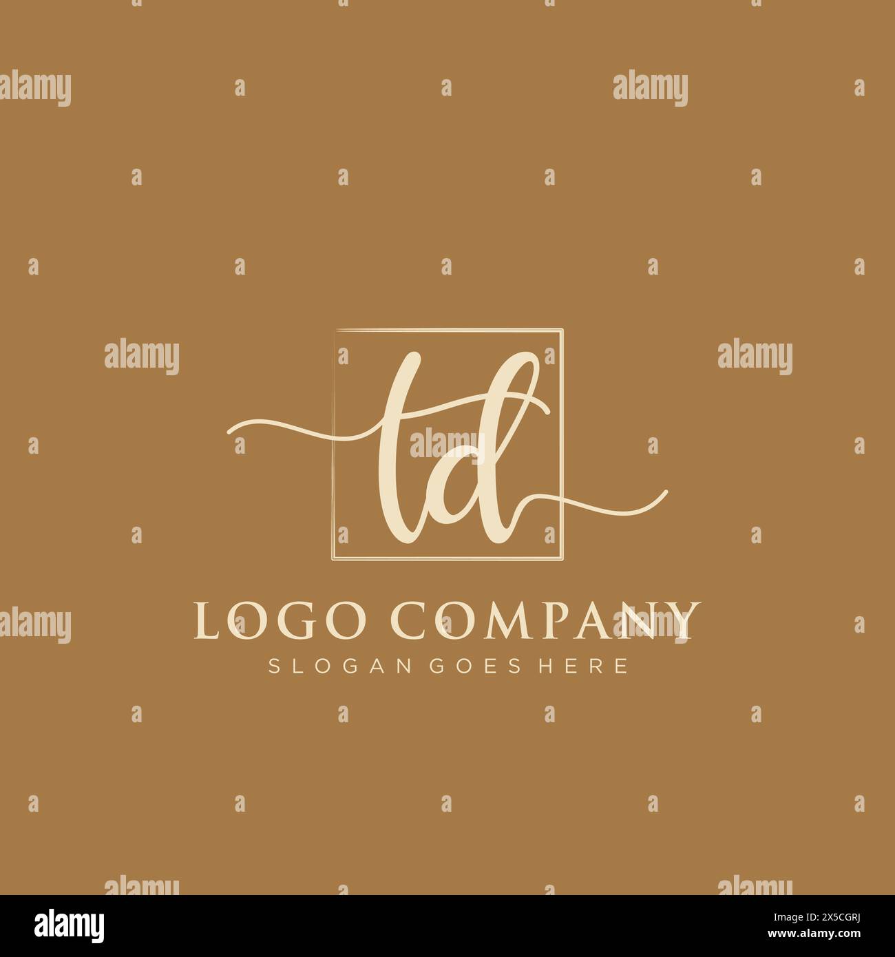 TD Initial handwriting logo with rectangle Stock Vector