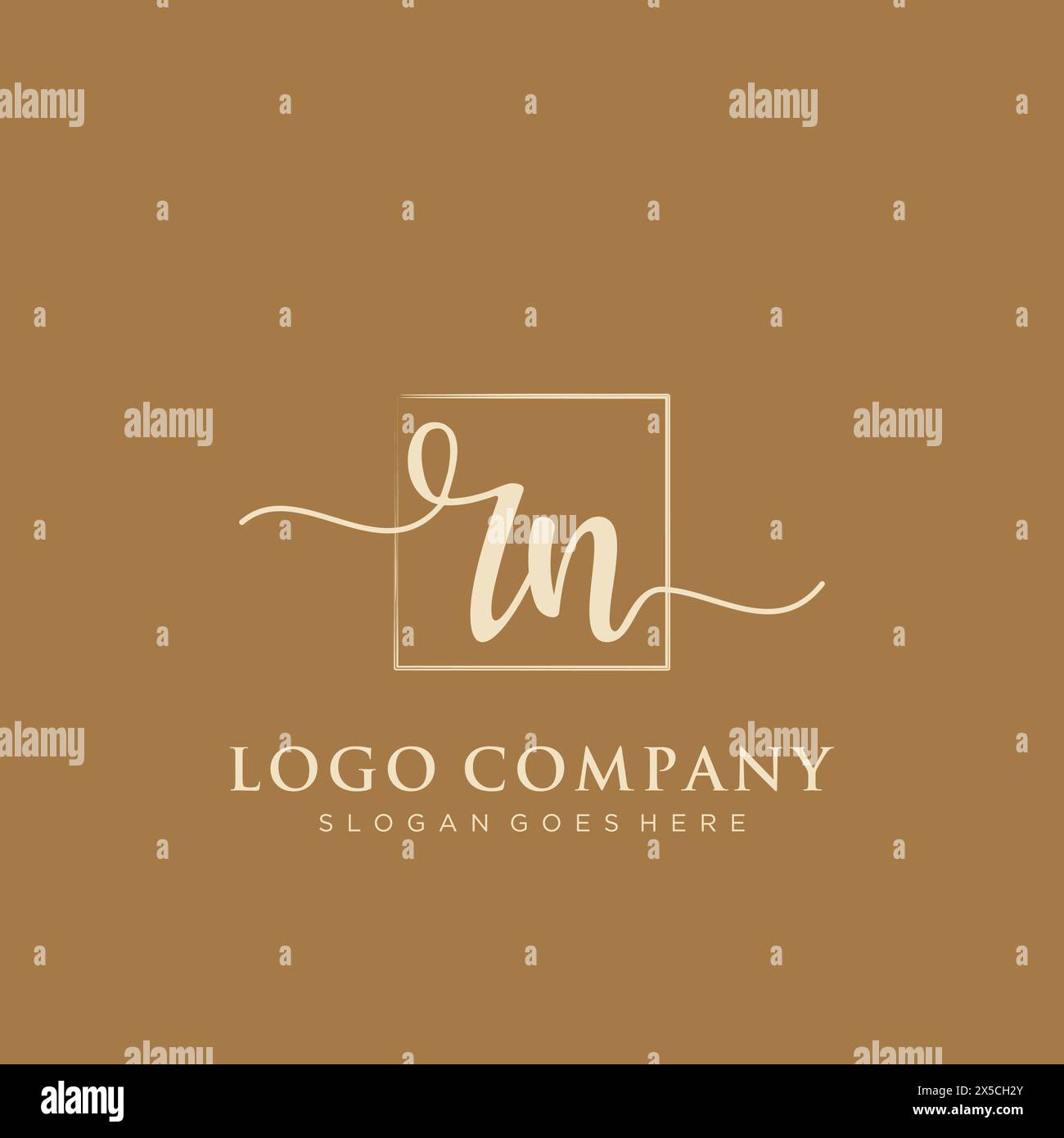 RN Initial handwriting logo with rectangle Stock Vector