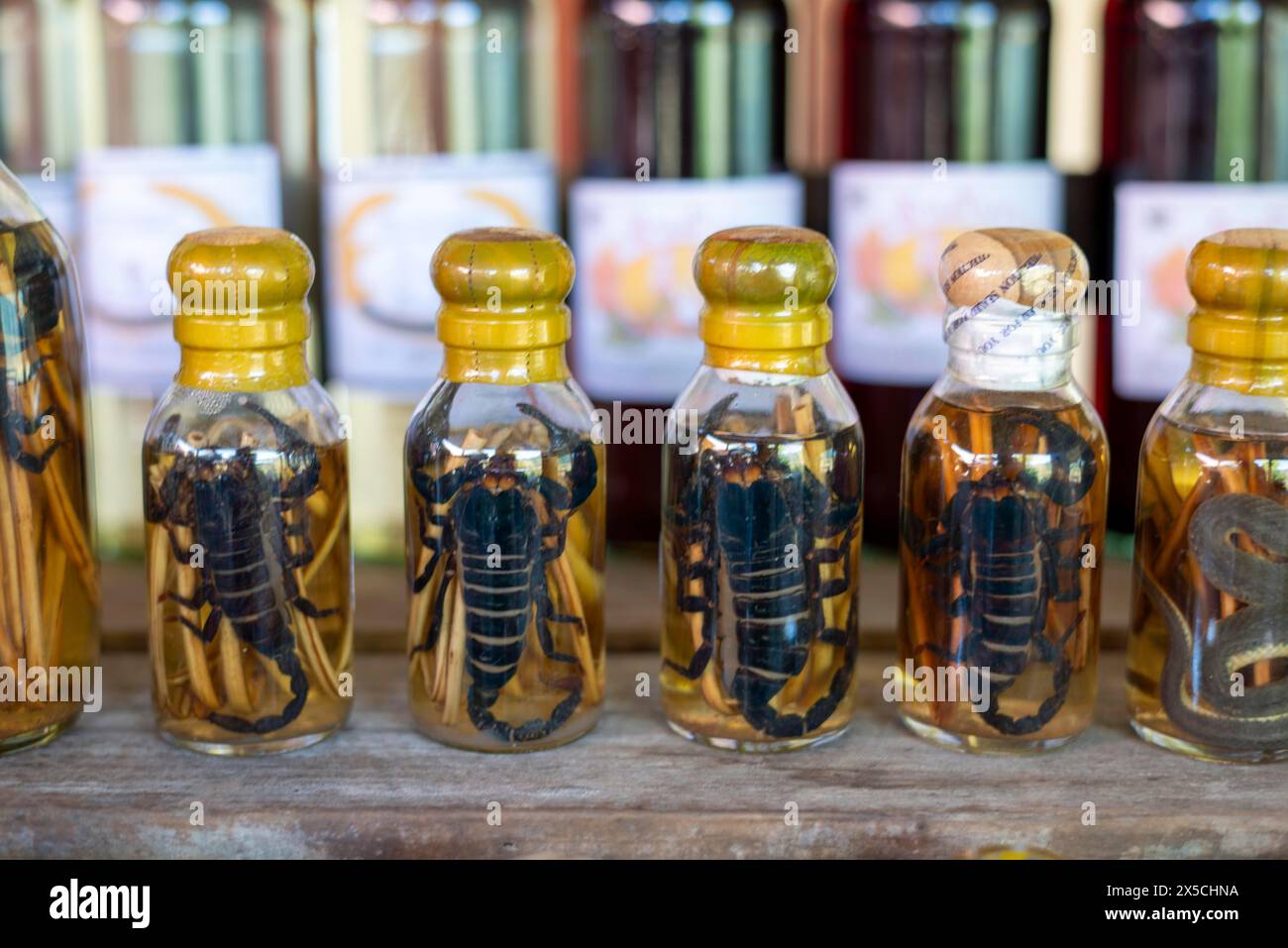 Choum, rice liquor, rice wine with pickled scorpions and Snakes for sale, Laos Stock Photo