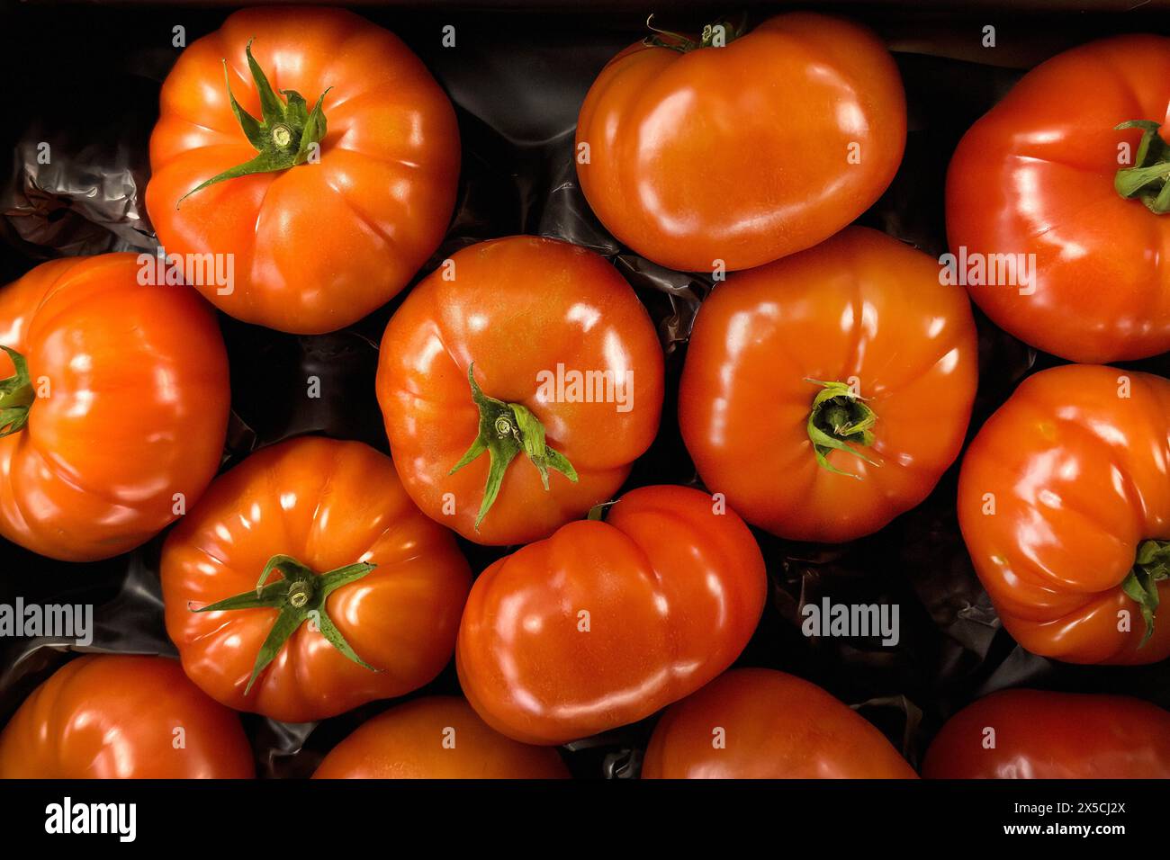 Meat tomatoes unprocessed raw in display of greengrocer greengrocer grocery shop grocery store grocer supermarket, Germany, Europe Stock Photo