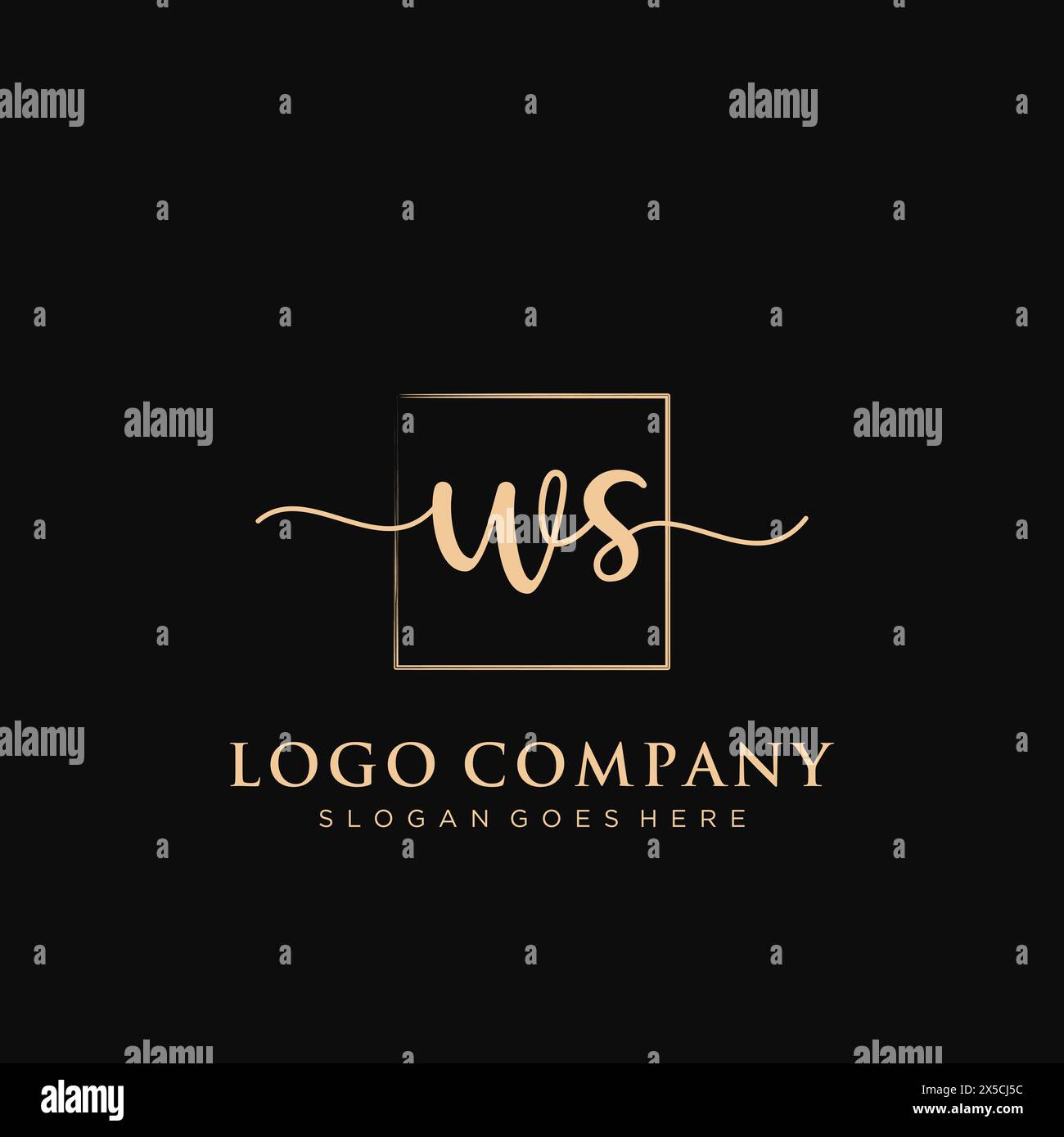 WS Initial handwriting logo with rectangle Stock Vector