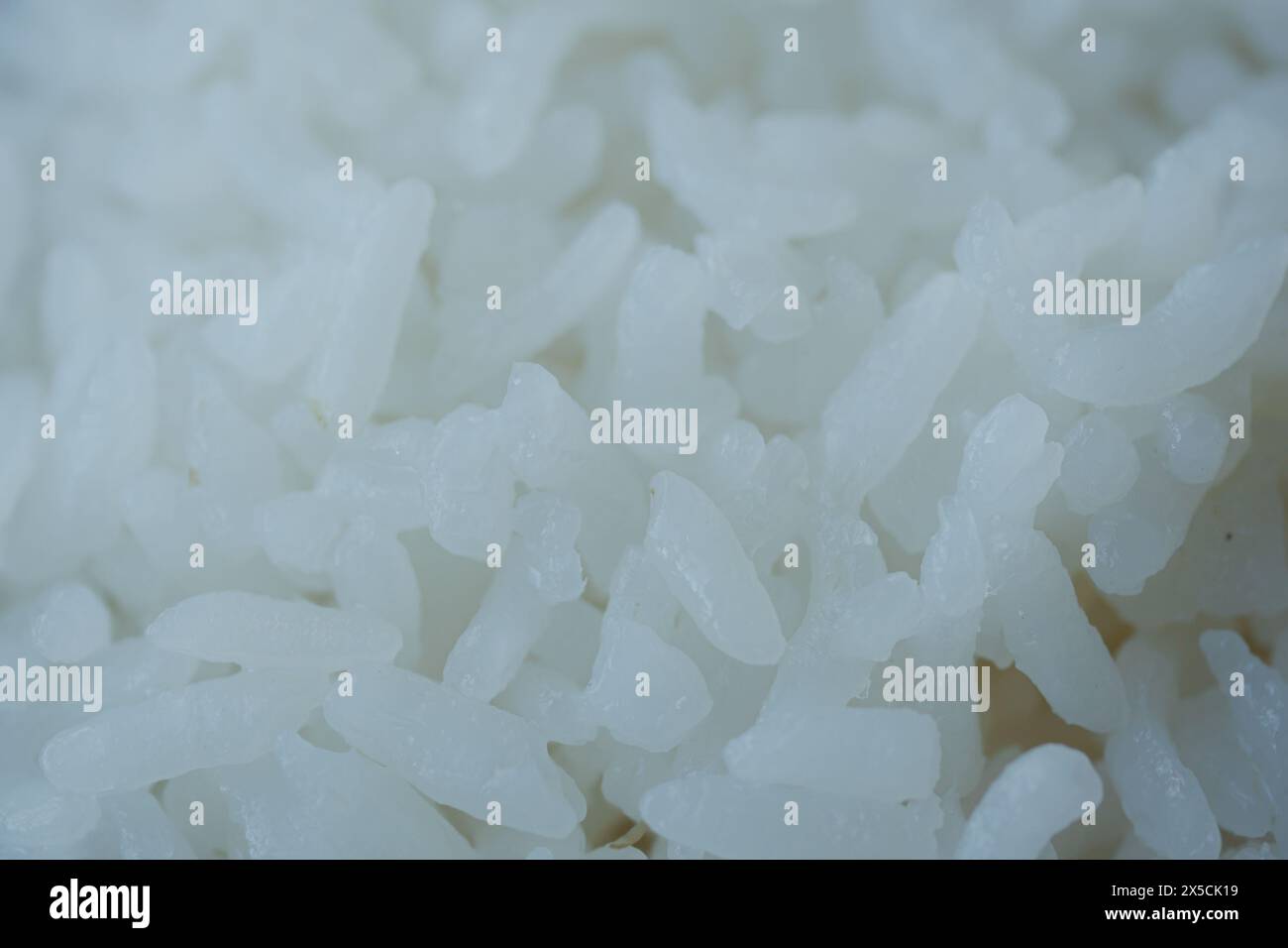 White rice cooked bowl hi-res stock photography and images - Alamy