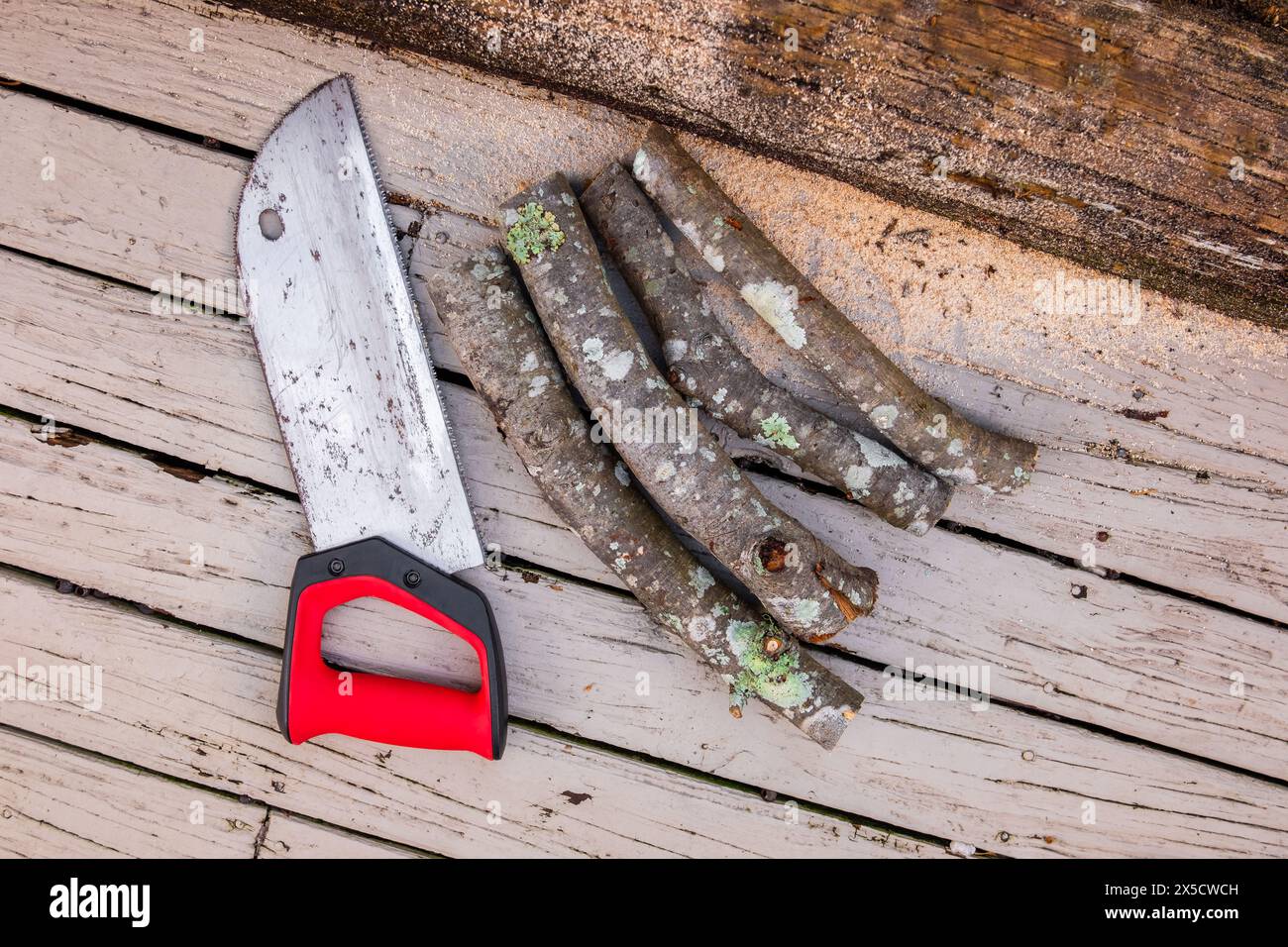 Old rusty handsaw over a wooden boards background with four logs of cut firewood. Stock Photo