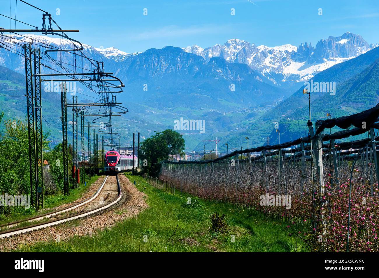 Meran, Italy, April 13, 2024: Railroad line in Trntin next to blossoming apple orchards and with the rugged snow-capped peaks of the Alps in the backg Stock Photo