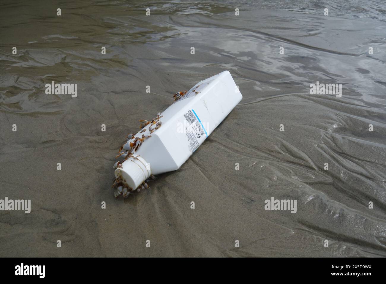 Plastic bottle of hydrogen peroxide (bleach) from Taiwan that has washed ashore on the beach, Cape Tribulation, Daintree National Park, Queensland, Au Stock Photo