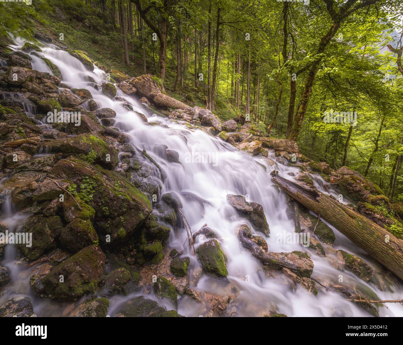 Beautiful view of Rothbach Waterfall near Konigssee lake in Berchtesgaden National Park, Upper Bavarian Alps, Germany, Europe. Beauty of nature concep Stock Photo