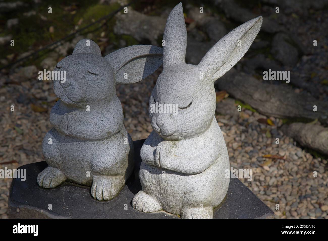 Japan, Izumo, rabbit statues Stock Photo - Alamy