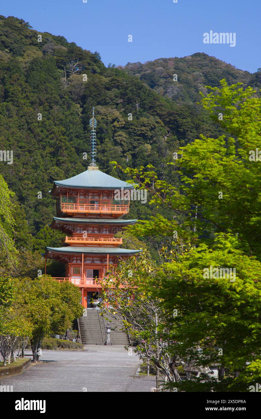 Japan, Kumano Kodo, Nachisan Seiganto-ji Temple, Stock Photo