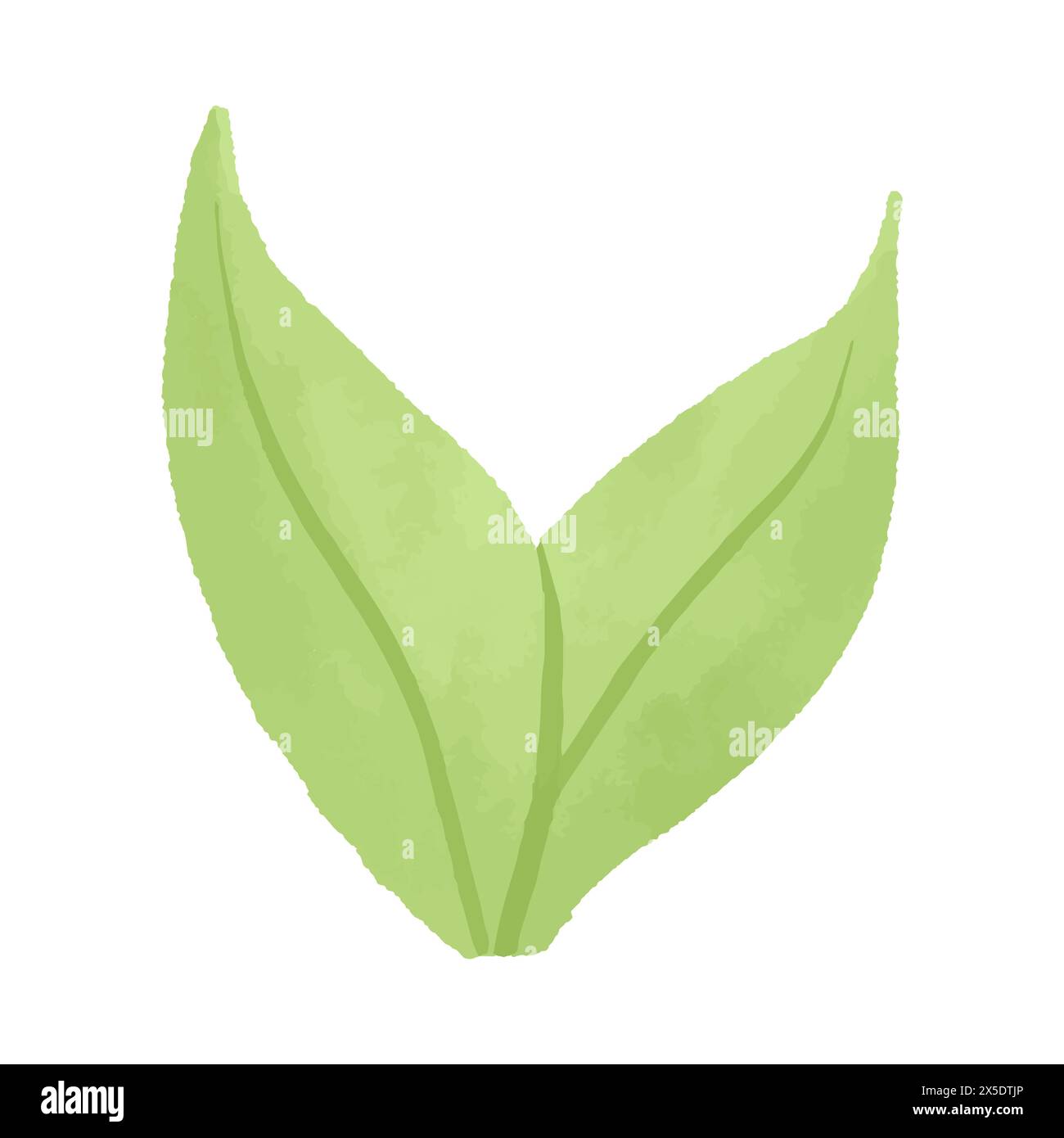 Watercolor vector illustration of leaf in childish style Stock Vector ...