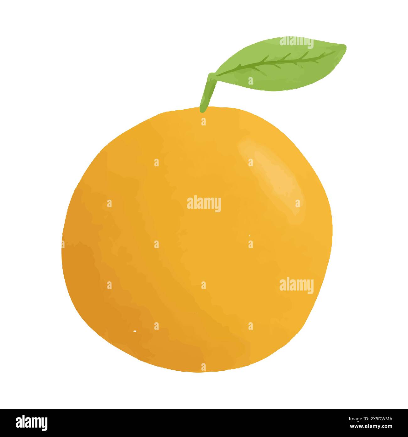 Watercolor vector illustration of orange in childish style Stock Vector ...