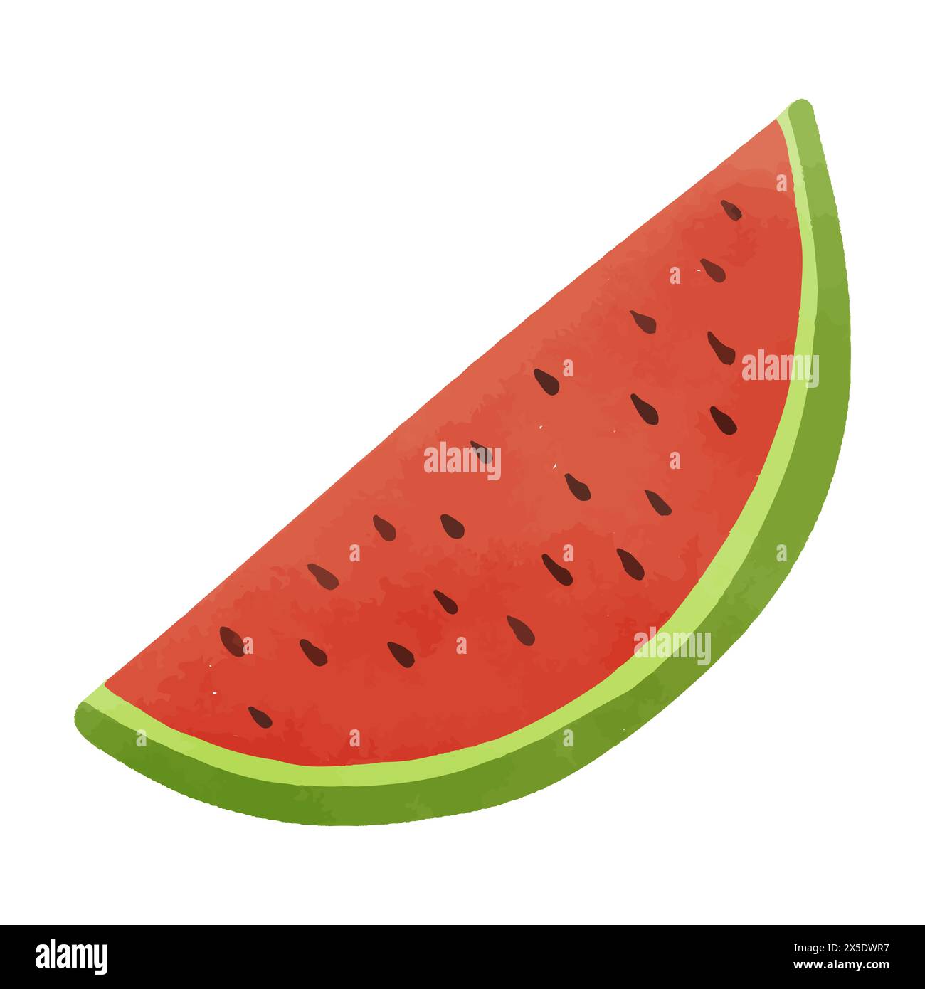 Watercolor vector illustration of watermelon in childish style Stock ...