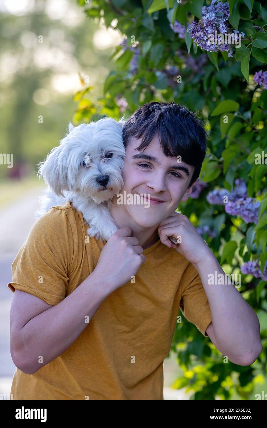 Happy family with kids and pet dog in the park, enjoying day together on sunset Stock Photo
