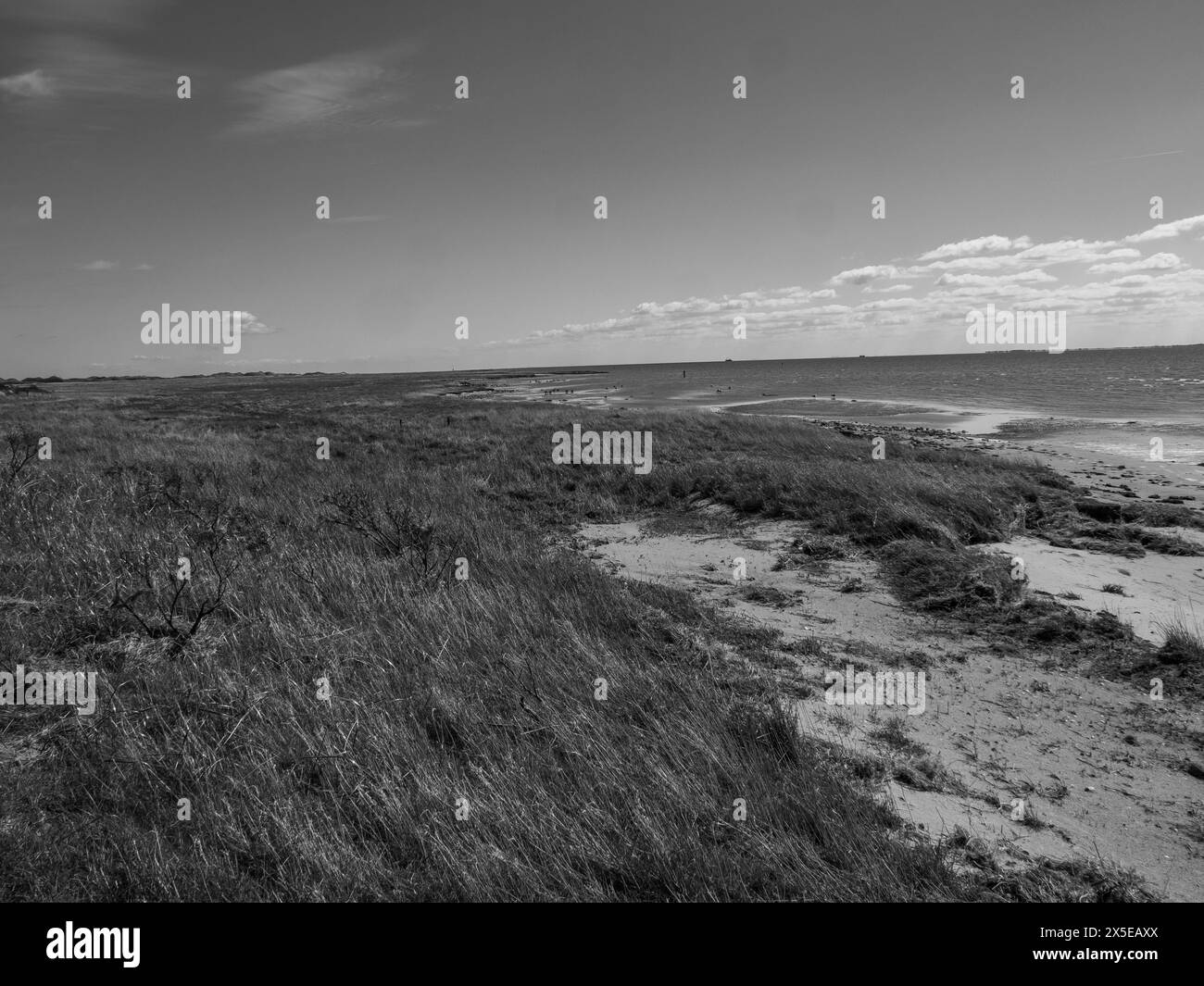 the dutch island Ameland Stock Photo