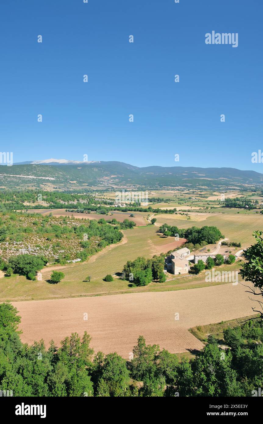 Landscape in Provence with view to Mont Ventoux in Background,France Stock Photo