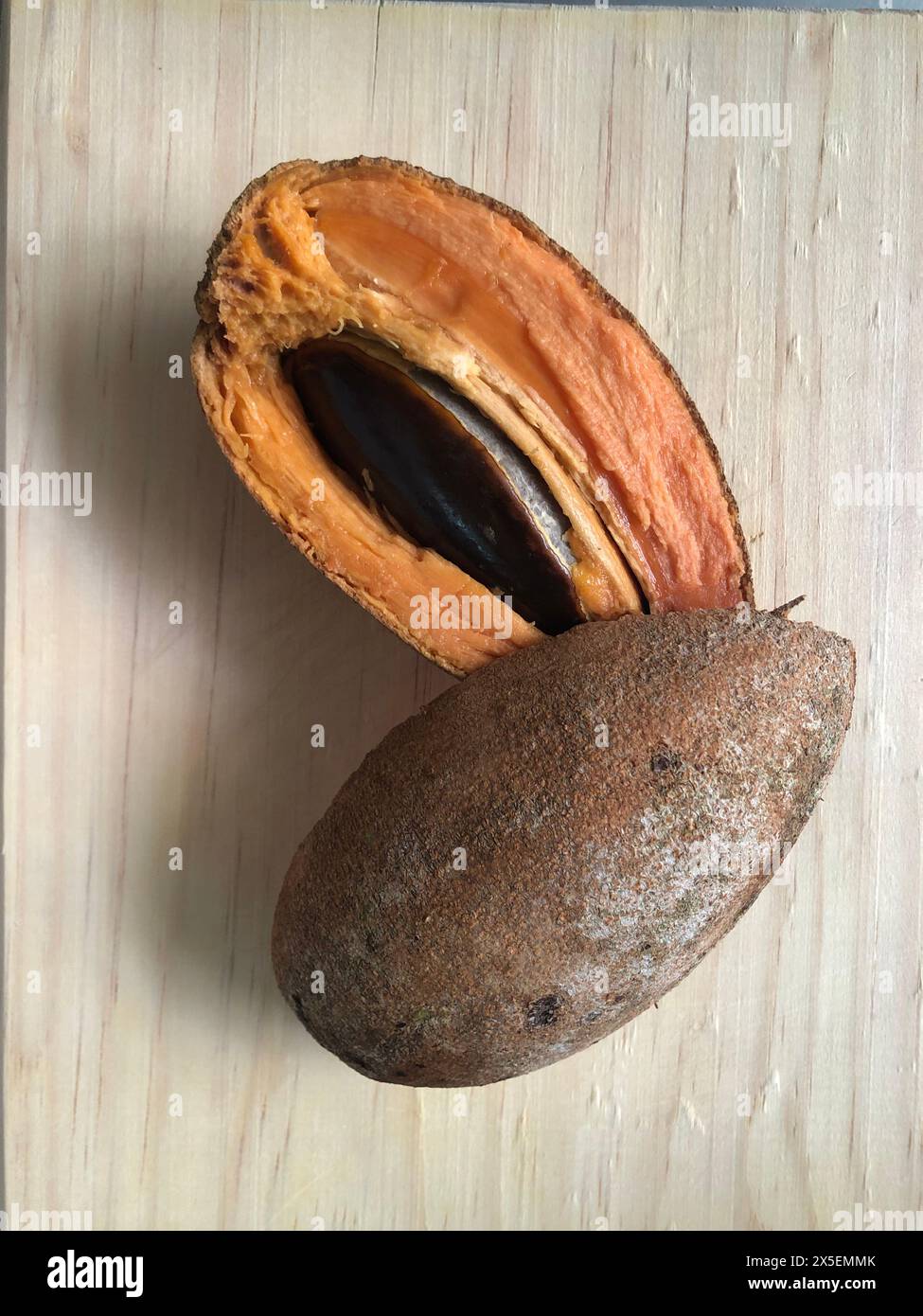 Large mamey sapote. Guadaljara, Mexico. Stock Photo