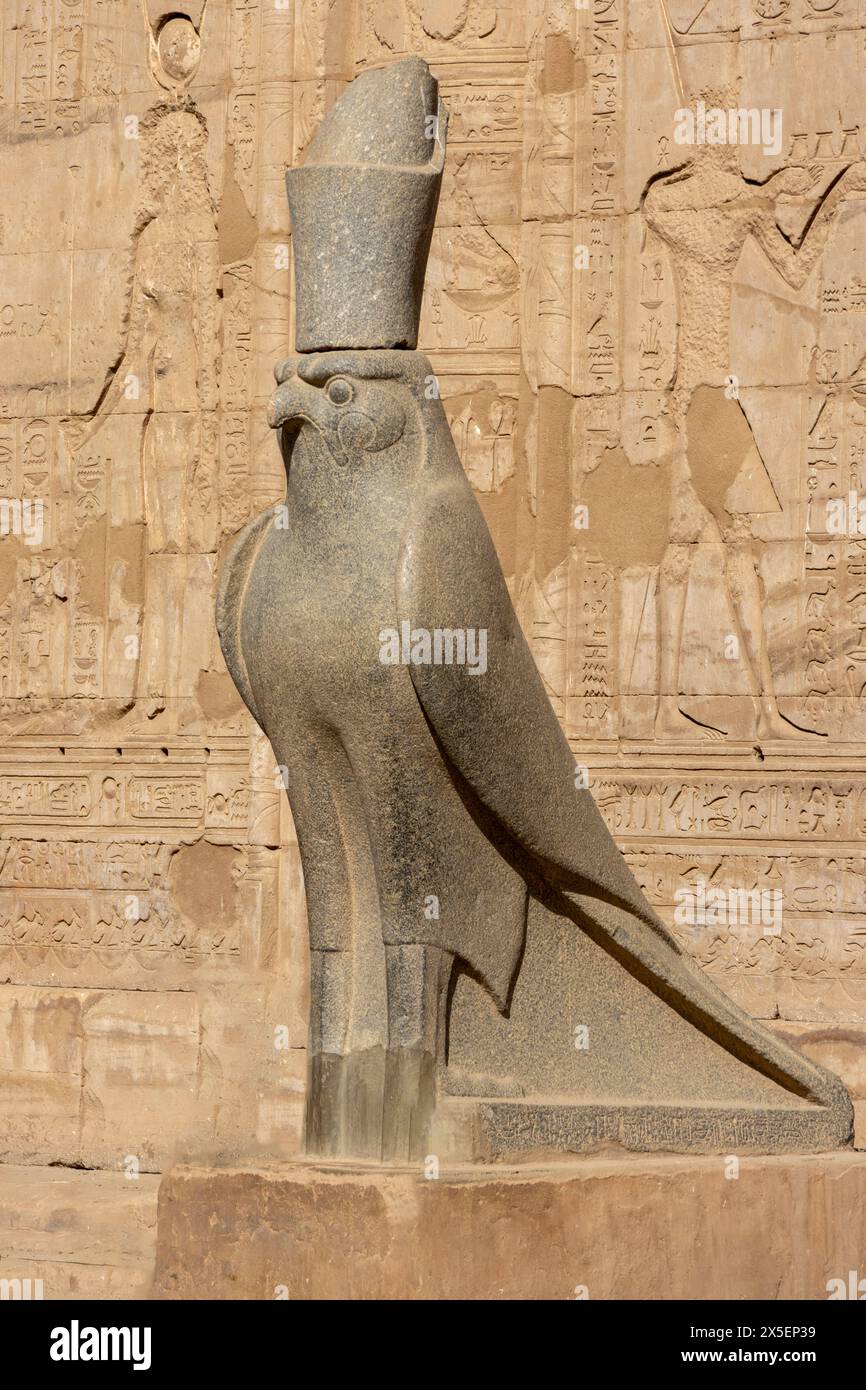 The Statue of Horus at the ancient Ptolemaic Temple of Horus at Edfu in Egypt, Africa. Stock Photo